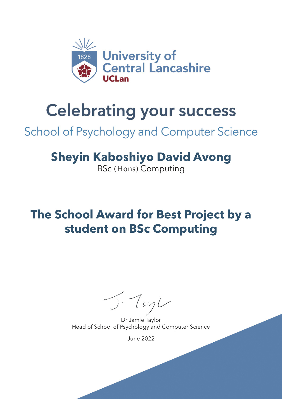 Preview of Best Project Award certificate